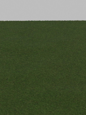 Grass