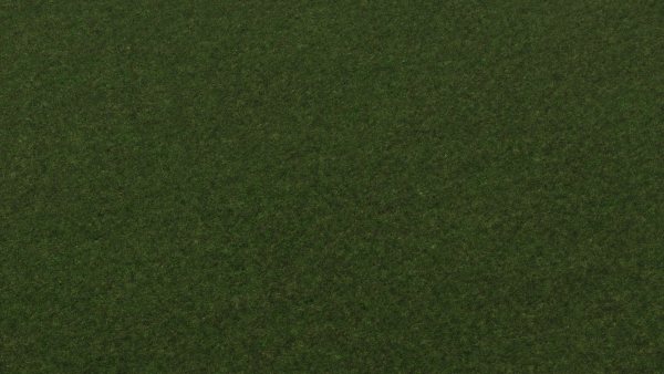 Grass