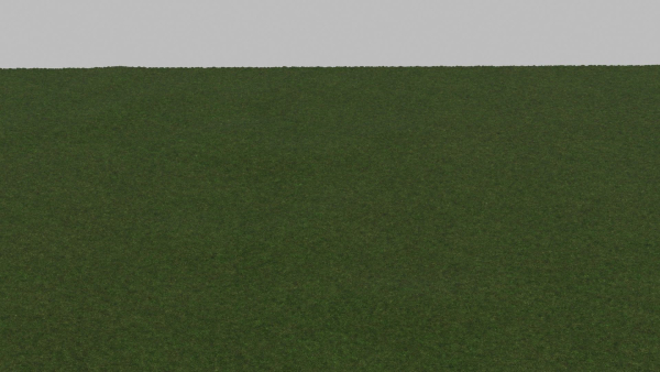Grass