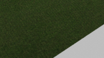 Grass