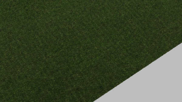 Grass