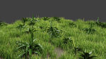 Grass And Plants