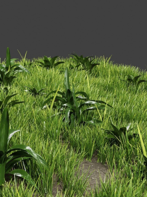 grass-and-plants-3d-model-obj-fbx-blend-dae