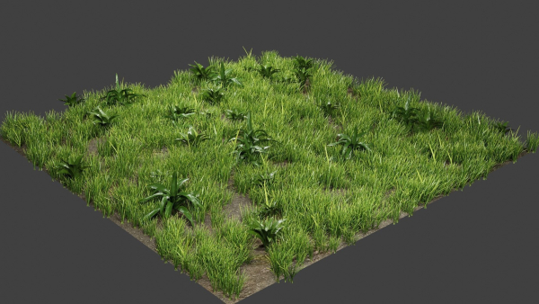 Grass And Plants