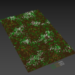 Grass Beautiful Lawn With Libertia Grandiflora Version2