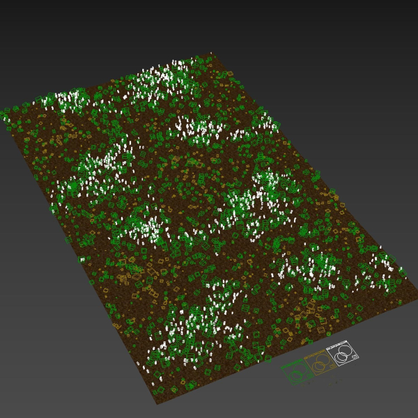 Grass Beautiful Lawn With Libertia Grandiflora Version2