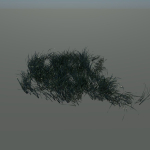 Grass clump