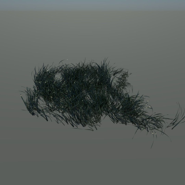 Grass clump