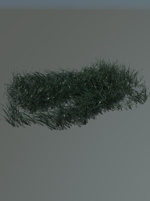 Grass clump