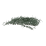 Grass clump