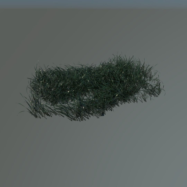 Grass clump