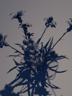 grass-flower-3d-model-low-poly-animated-fbx-c4d