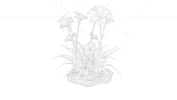 Grass Flower
