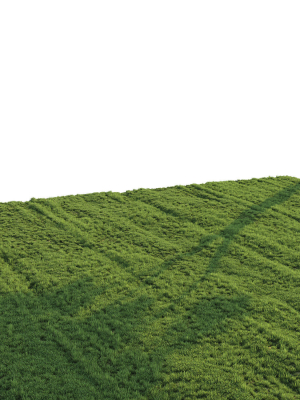 grass-for-landscape-3d-model-max-obj-fbx-mat