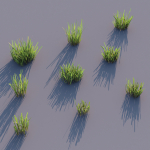 Grass for landscape
