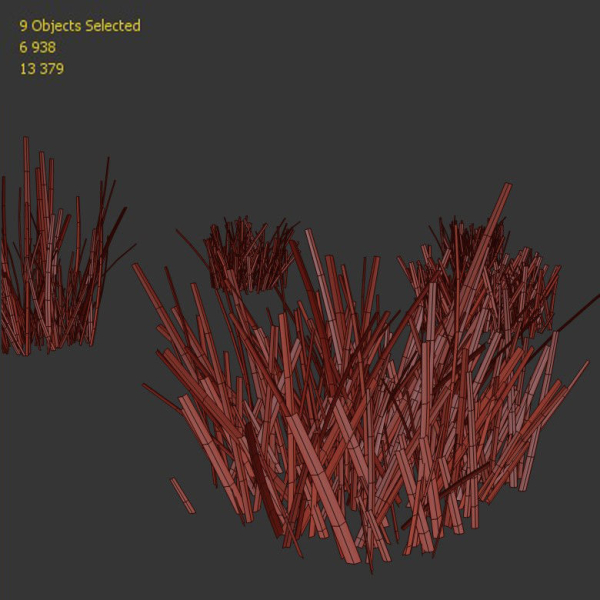 Grass for landscape