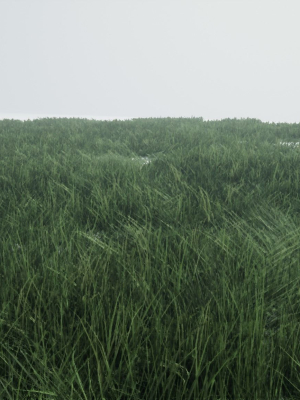 grass-forest-3d-model-low-poly-max-obj-3ds-fbx-stl-blend