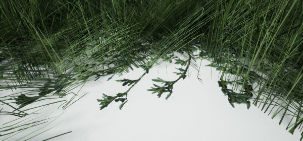 Grass Forest