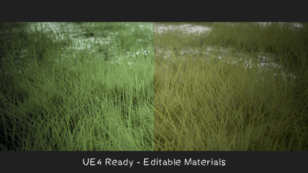 Grass Forest