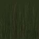 Grass Forest
