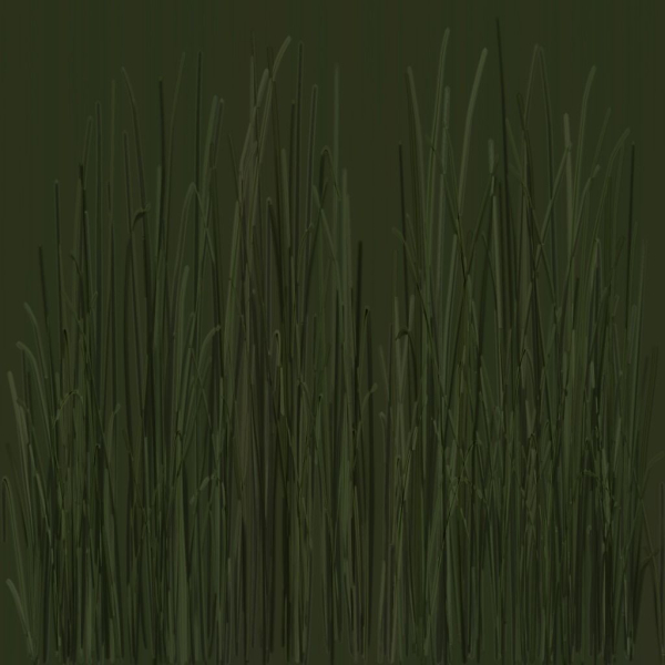 Grass Forest