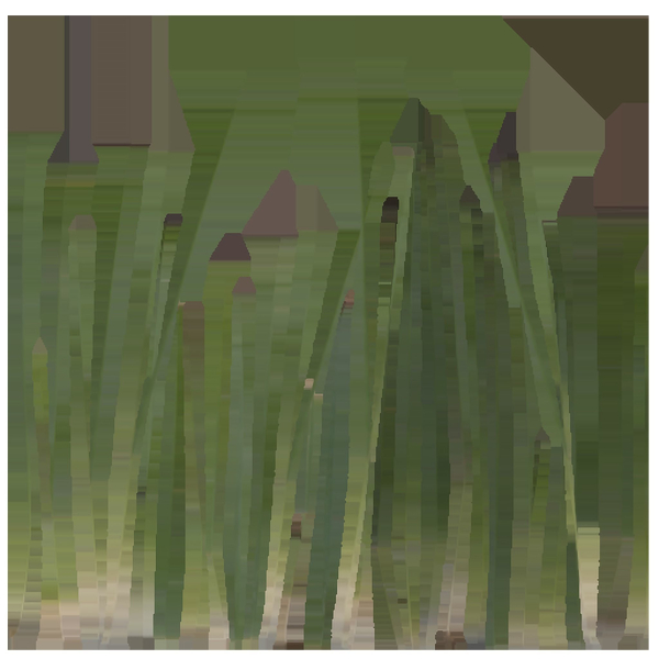 Grass Forest