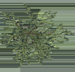 Grass Forest