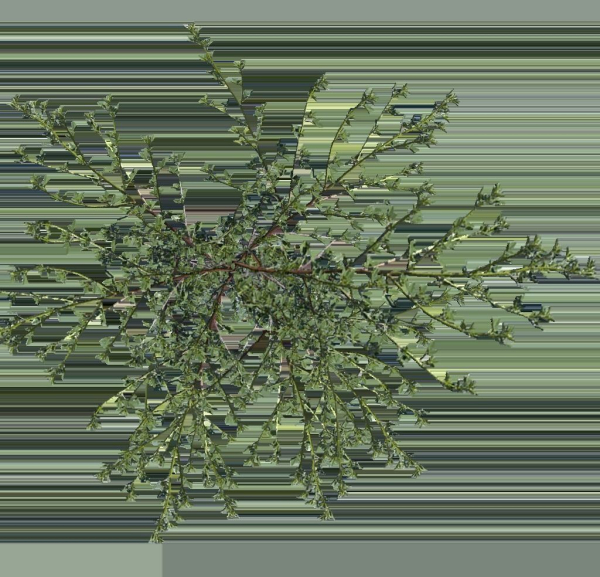 Grass Forest
