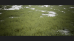 Grass Forest