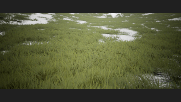 Grass Forest