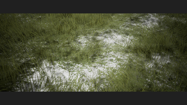 Grass Forest