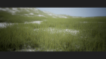 Grass Forest