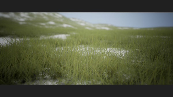 Grass Forest