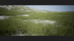 Grass Forest