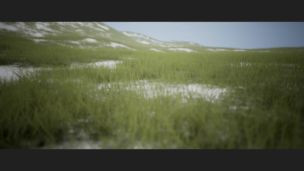 Grass Forest