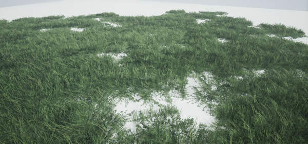 Grass Forest