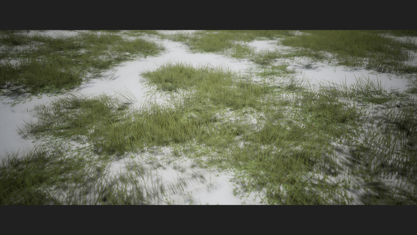 Grass Forest