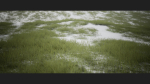 Grass Forest