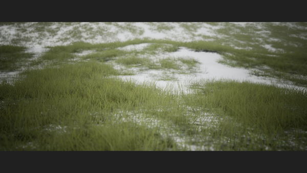 Grass Forest