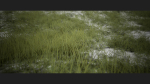 Grass Forest