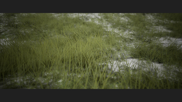 Grass Forest