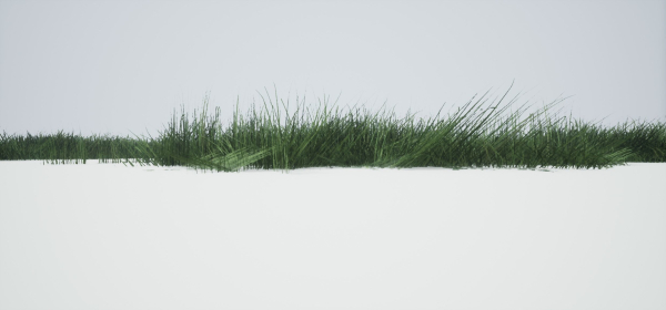 Grass Forest V 1