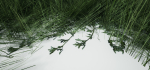 Grass Forest V 1