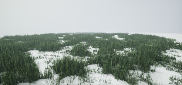 Grass Forest V 1