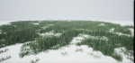 Grass Forest V 1