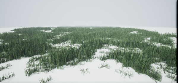 Grass Forest V 1