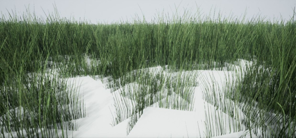 Grass Forest V 1