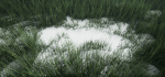 Grass Forest V 1
