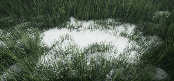 Grass Forest V 1