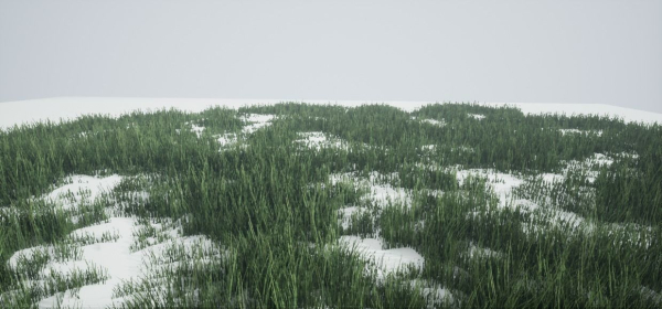Grass Forest V 1